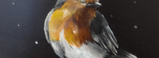 Christen_Rotkehlchen