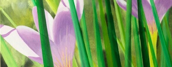 Meier_Herbstzeitlose