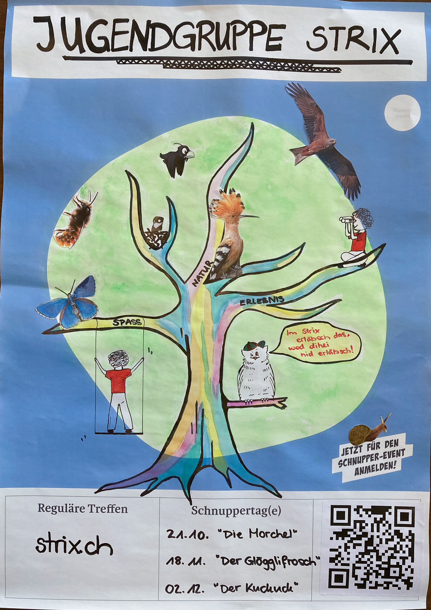 Natur- und Vogelschutz Strix