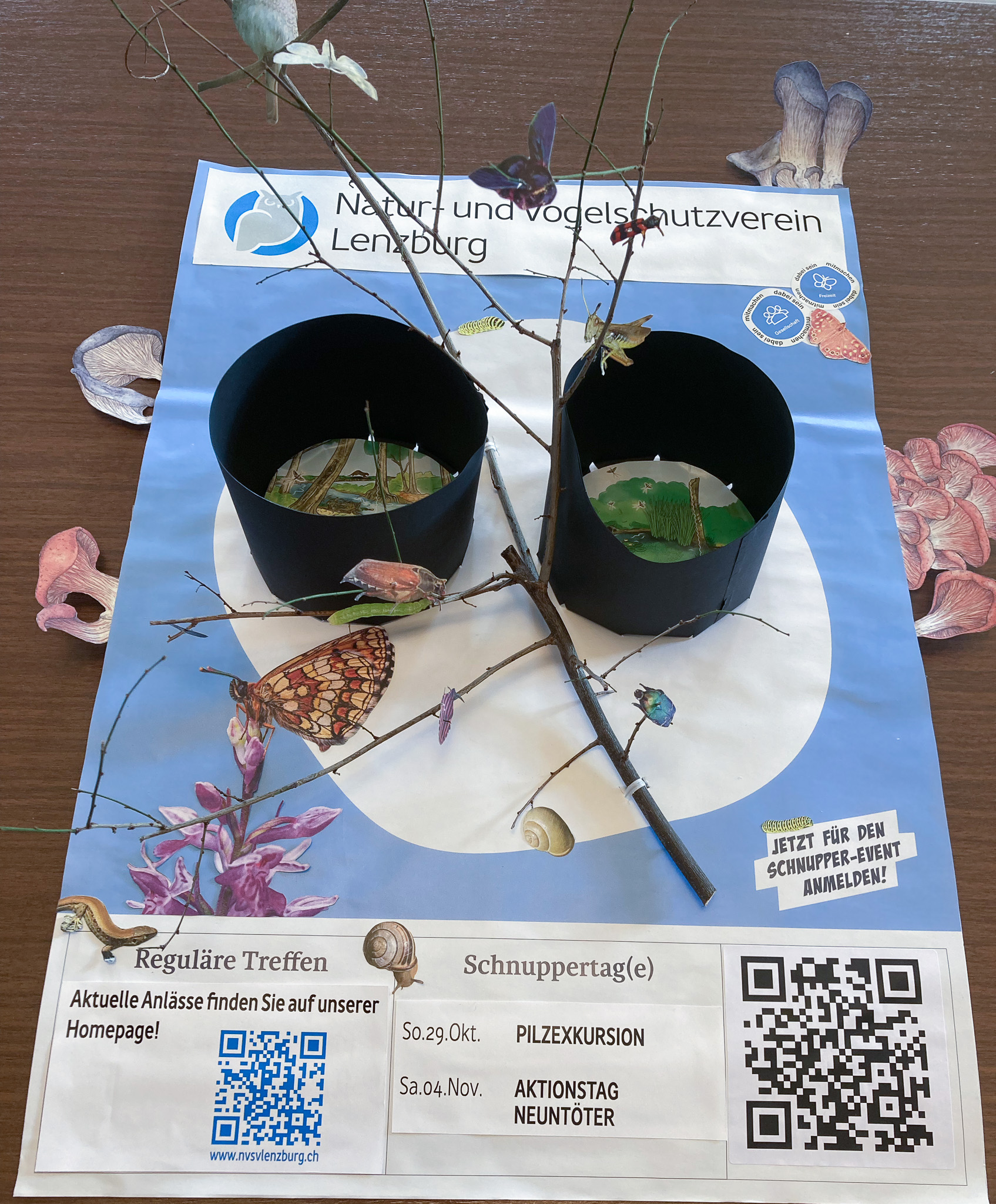 Natur- und Vogleschutzverein 3d